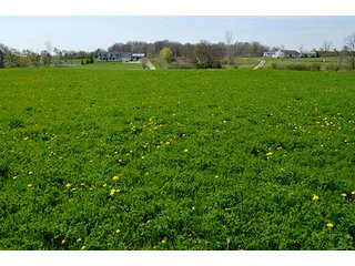Property photo 108 - REAL ESTATE & PERSONAL PROPERTY AUCTION - 23.5+/- ACRES OFFERED IN 3 TRACTS OR COMBINATIONS IN EAST ALLEN COUNTY